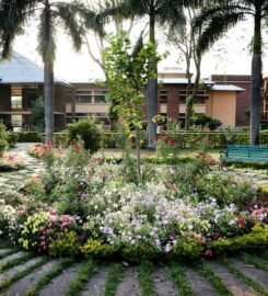 Hopetown Girl’s School