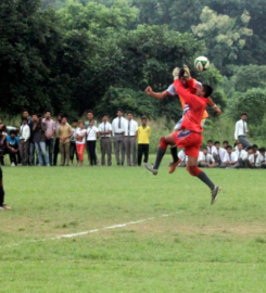 Cambrian Hall School