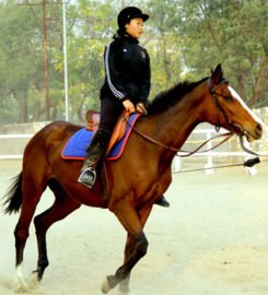 SelaQui International School