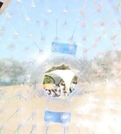 The TonsBridge School