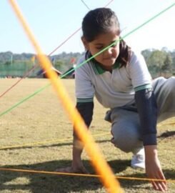 The TonsBridge School