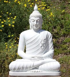 The TonsBridge School