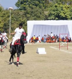 The TonsBridge School