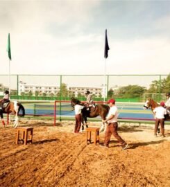 The TonsBridge School